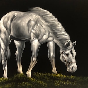 White horse black velvet oil painting handpainted signed art