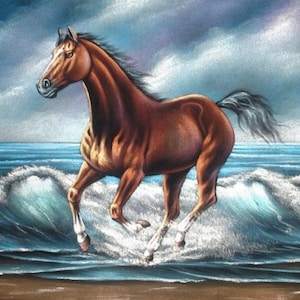 Brown horse beach landscape black velvet oil painting handpainted signed art