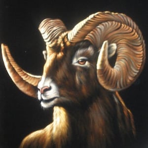 Bighorn sheep black velvet oil painting handpainted signed art