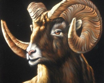 Bighorn sheep svart sammet oljemålning handmålad signerad konst