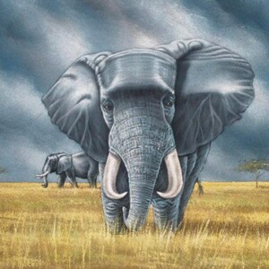 Grauer Elefant schwarz Samt Ölgemälde handgemalt signiert Kunst