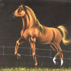 Brown Horse vintage black velvet oil painting art