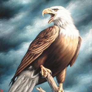 American bald eagle landscape black velvet oil painting handpainted signed art