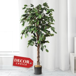 May include: A large artificial ficus tree with green leaves in a brown pot. The tree is about 5 feet tall and has a twisted trunk. The tree is in front of a white wall and a white window. A red tag with the text "DECOR CHOICE" is attached to the tree.