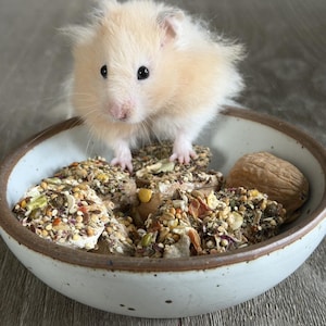 Fyllda valnötter - Hamstergodis