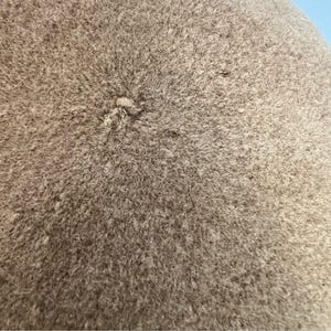 Pode incluir: Close-up de um tecido bege texturizado. O tecido tem uma apar&ecirc;ncia ligeiramente &aacute;spera e feltrada, com uma pequena &aacute;rea elevada no centro. A cor &eacute; um tom neutro e suave, adequado para v&aacute;rias aplica&ccedil;&otilde;es.