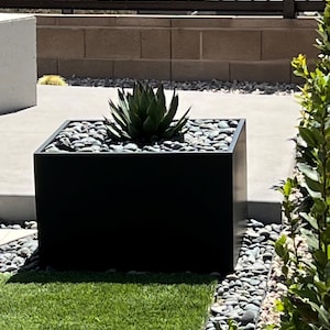 May include: A black square planter with a succulent plant growing inside. The planter is filled with small gray rocks and is sitting on a concrete patio.