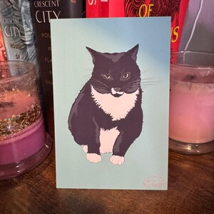 May include: A greeting card featuring a black and white cat illustration on a light blue background. The cat has a white bib and paws. The card is displayed on a wooden surface, with books and candles in the background.