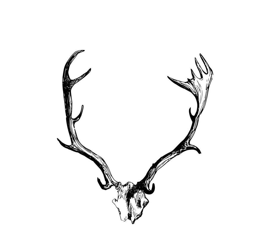 Gothic Antlers PNG & SVG - Etsy