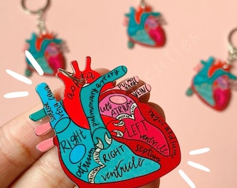 ANATOMICAL Heart Keychain Heart Keychain Nurse Gift Doctor Midwife Keychain Paramedic Keychain Heart Acrylic Keychain Heart Anatomy Keyring