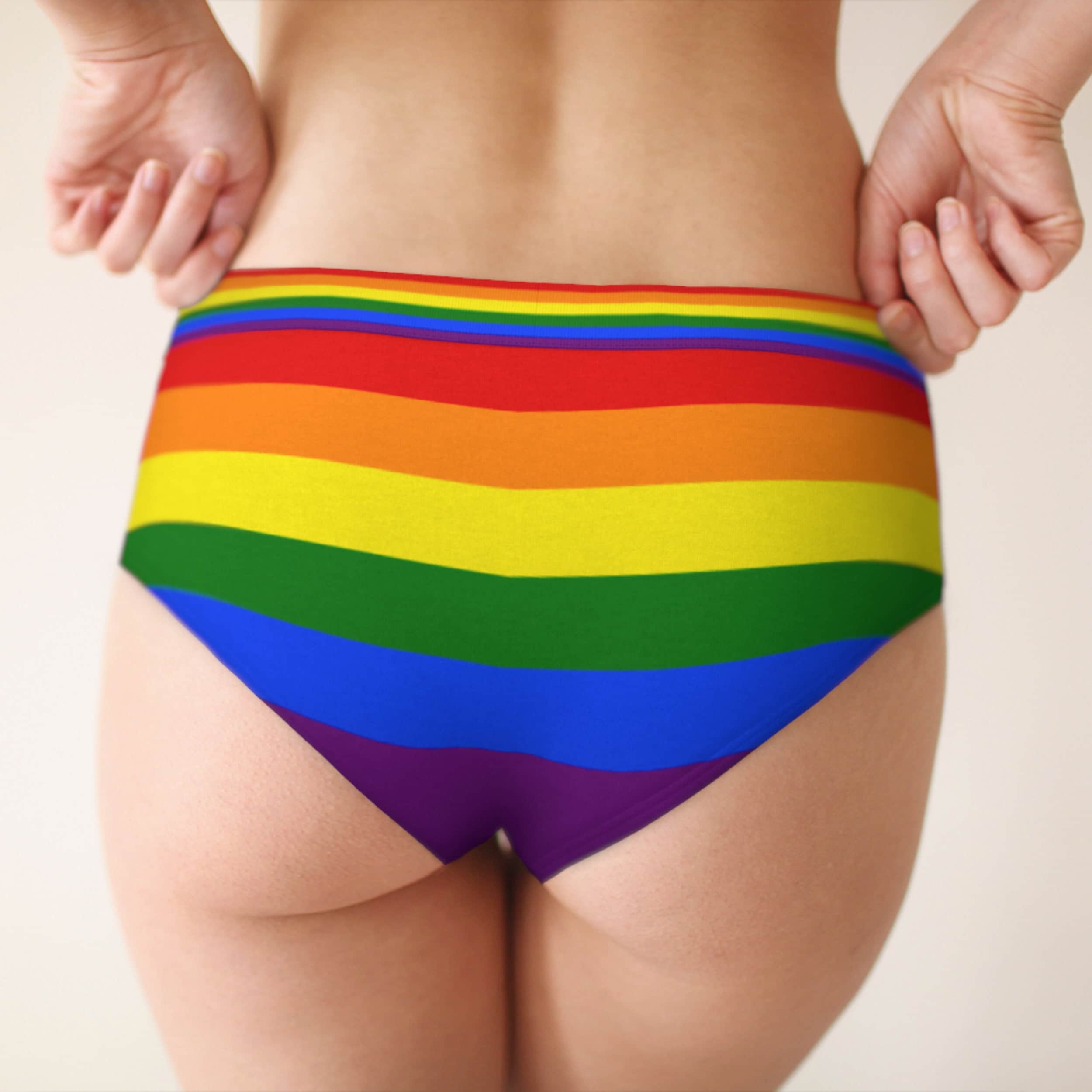 The Geek Garden Rainbow Flag Stripe Ladies Panties – NoveltyStreet