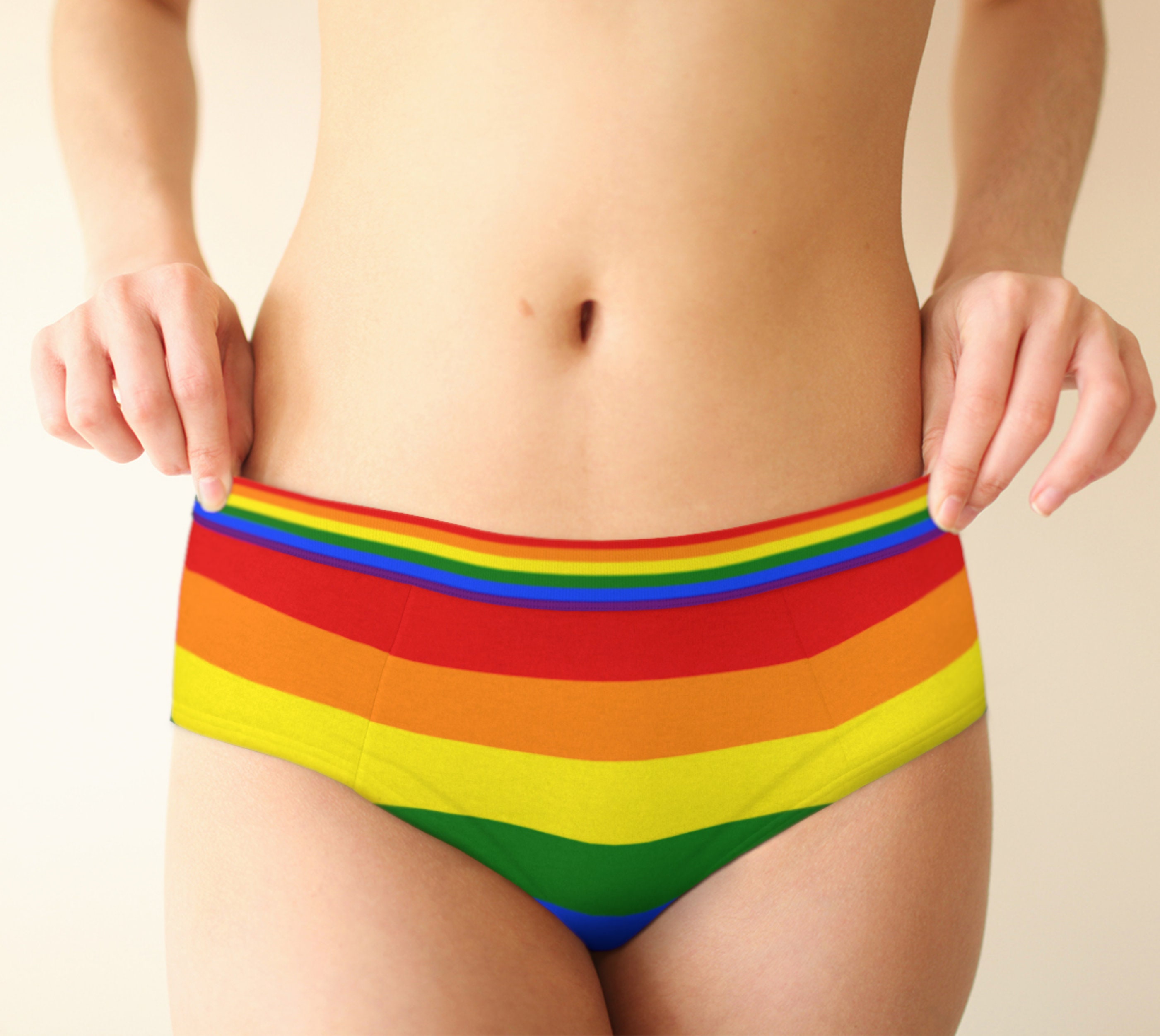 Womens Cheeky Briefs LGBTQ Gay Pride Flag Underwear, Sizes XS-XL