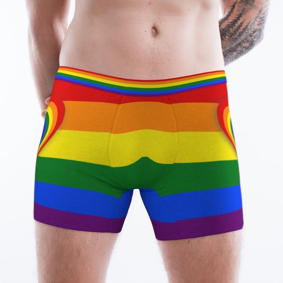 Mens Boxer Briefs Underwear Pride Flag and Hearts, Sizes XS XL