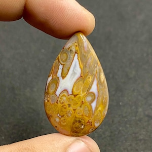 May include: A teardrop-shaped cabochon of orbicular jasper featuring a complex pattern of mustard yellow, tan, and cream-colored circular inclusions interspersed with distinct white crystalline veins throughout the polished stone surface.