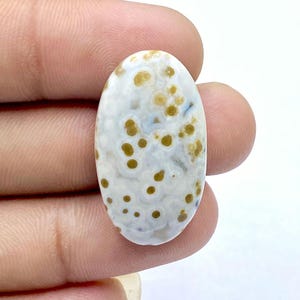 Beautiful Ocean Jasper Cabochon...Designer Ocean Jasper Gemstone...Oval Shape Gemstone...31x17x6mm...23Ct