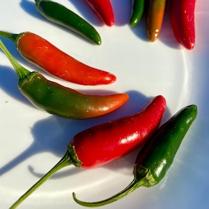 Rare Hawaiian Pepper Seeds