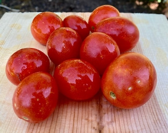 Sub Arctic Plenty Tomato (Cold Tolerant Heirloom) Seeds