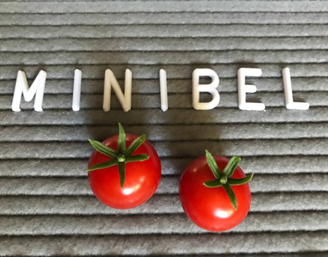 Minibel Microdwarf Tomato Seeds - Etsy