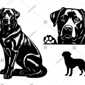 Labrador retriever svg Peeking labrador set Commercial happy black labrador dog cute breed SVG PNG EPS Clipart Vector Cricut Cut File vinyl