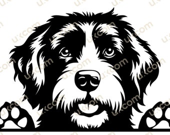 Perro de agua portugués Peeking Perro Raza comercial Perro de agua clipart pedigrí canino SVG PNG EPS Clipart Vector Cricut Corte Archivo de corte vinilo