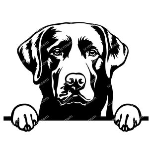 Labrador retriever Sbirciare le zampe del cane Labrador retriever SVG Razza Lab clipart Logo Commerciale dxf PNG EPS Clipart Cricut Taglia File di taglio