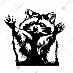 Blessing raccoon svg funny raccoon tshirt design pedro svg Commercial cricut Dxf SVG PNG EPS Clipart Vector Cut File vinyl sublimation