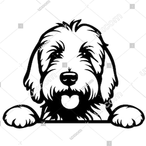 Goldendoodle Gluren Hond Goldendoodle SVG labradoodle SVG Commerciële doodle moeder doodle CNC Svg PNG EPS Clipart Vector Cricut Cut File vinyl