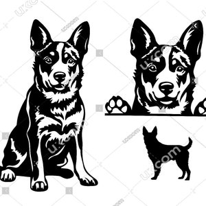Australian Cattle dog SVG Gluren schattige blauwe heeler set bundel 3 blauwe heeler honden CNC Svg Dxf PNG EPS Clipart Cricut Cut File vinyl laser