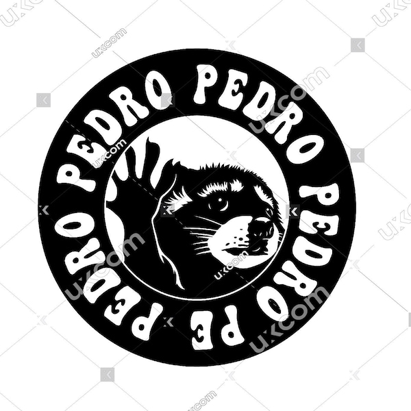 Pedro Pedro Raccoon svg funny raccoon tshirt design pedro svg Commercial cricut Dxf SVG PNG EPS Clipart Vector Cut File vinyl sublimation