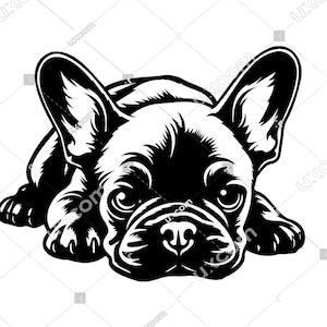 Franse bulldog SVG Franse Bulldog liggen schattig Frenchie commerciële honden CNC Svg Dxf Png EPS Clipart Vector Cricut laser gesneden bestand vinyl