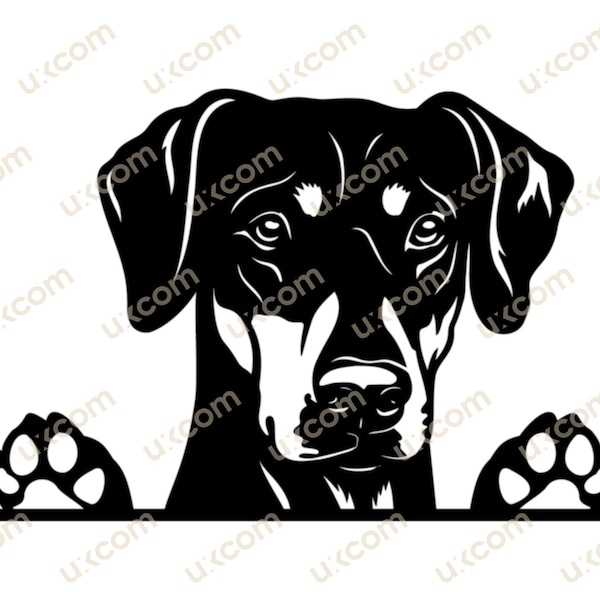 Doberman Pinscher Peeking dog doberman with ears cute doberman commercial breed svg Logo SVG PNG EPS Clipart Vector Cricut Cut Cutting File