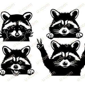 Raton laveur svg ensemble bundle raton laveur drôle ensemble Commercial raton laveur mignon cricut logo tshirt vinyle stickers SVG PNG EPS Clipart vectoriel coupe fichier de coupe