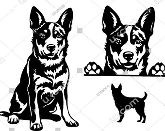 May include: Black and white silhouette illustration of a Australian Shepherd dog sitting and looking to the side. Another silhouette of the dog's head is shown looking to the right. A third silhouette of a smaller dog is shown standing and looking to the right.
