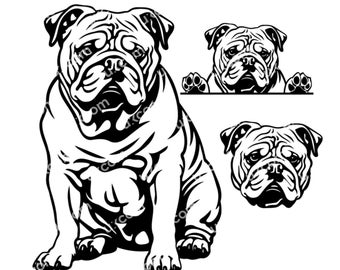 English Bulldog Peeking paws Dog Commercial bulldog set mom bulldog bundle SVG PNG EPS Clipart Vector canine Cricut Cut Cutting File laser