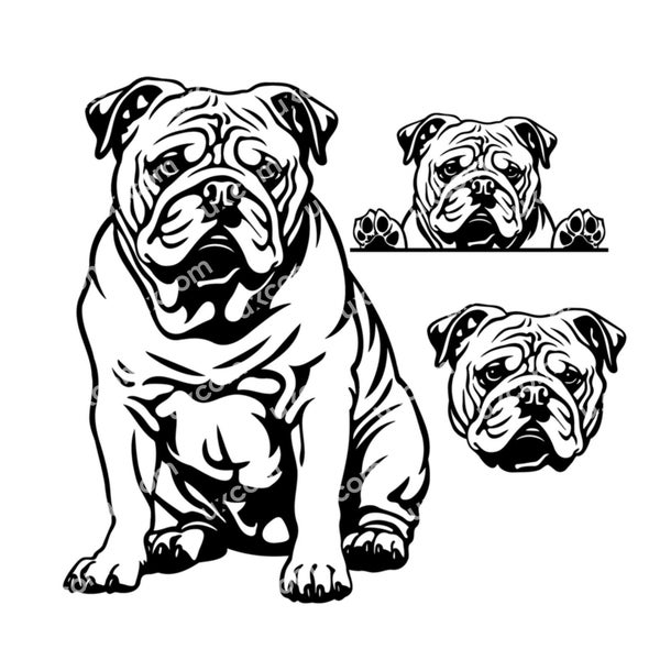 English Bulldog Peeking paws Dog Commercial bulldog set mom bulldog bundle SVG PNG EPS Clipart Vector canine Cricut Cut Cutting File laser