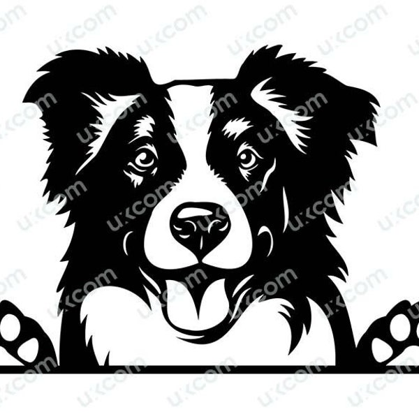 Border Collie svg Peeking Dog happy border collie mom collie Commercial decals vinyl transfer Logo Dxf PNG EPS Clipart Cricut Cutting File