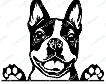 Boston terrier peeking paws Boston terrier svg boston dog Commercial happy boston Svg PNG EPS Dxf Clipart Vector Cricut Cutting File vinyl