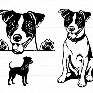 Jack Russel svg bundle set 3 Carino felice jack russel sbirciando Canine Pedigree Commercial Logo SVG PNG EPS Clipart Vector Cricut Cut Cutting