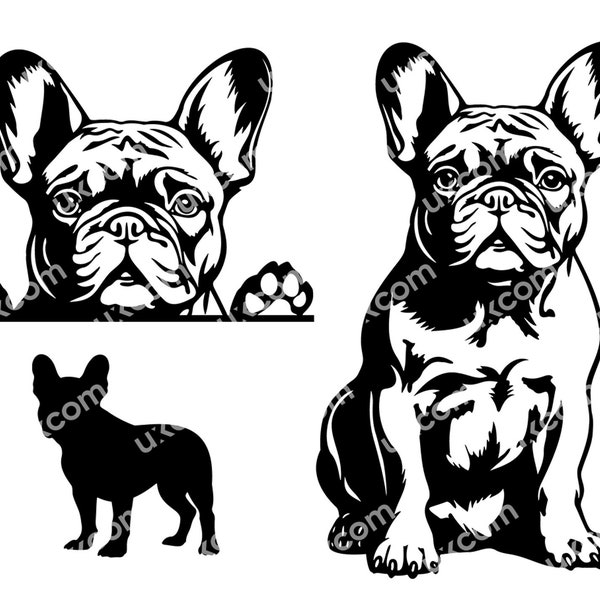 Bulldog francés asomando perro frenchie Comercial lindo bulldog francés mamá bulldog Logo SVG PNG EPS dxf bulldog Clipart Vector Cricut Cut File