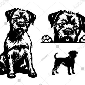 Border Terriër gluren hond 3 schattige grensterriër SVG laser gesneden bestand commerciële vinyl stickers Logo CNC PNG Eps terriër Clipart Vector Cricut
