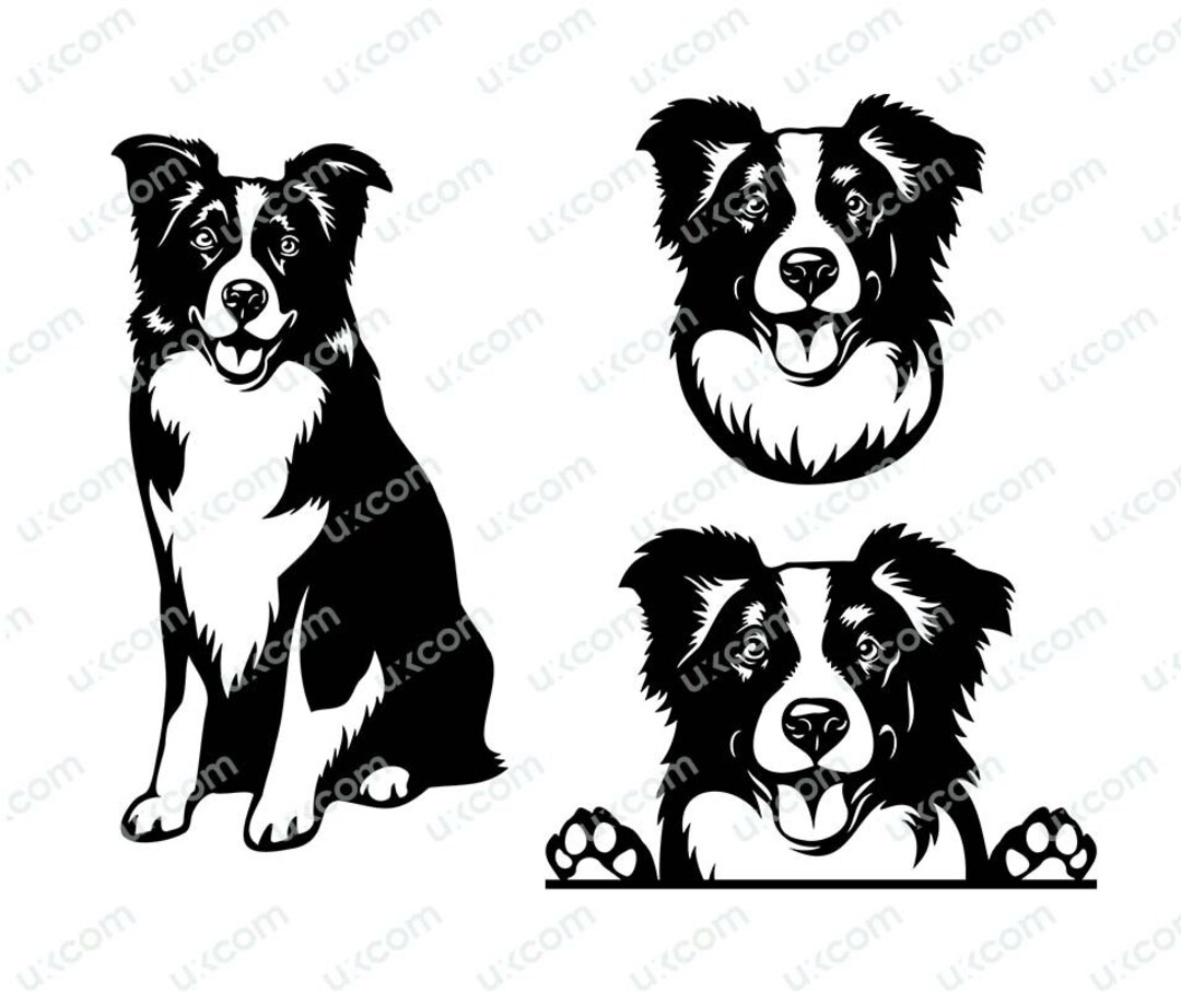 Border Collie Svg Peeking Dog Happy Border Collie Mom Collie Commercial