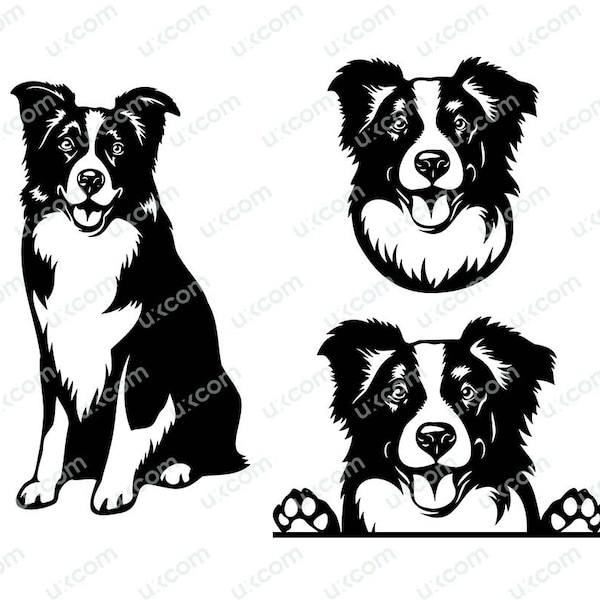 Border Collie svg Peeking Dog happy border collie mom collie Commercial decals vinyl transfer Logo Dxf PNG EPS Clipart Cricut Cutting File