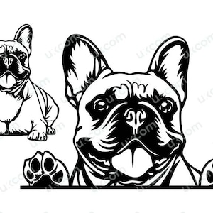 Französische Bulldogge späht Hund SVG Kommerzielle Pfoten Rasse Haustier Tier Logo PNG EPS Clipart Vektor Cricut Cut Cutting File digitaler Download Bundle