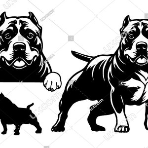 American Bully Peeking Dog 3 Set commerciale in bundle Pedigree Happy Bully SVG Logo PNG EPS Clipart Vector Bully Cricut Cut Cutting File vinile