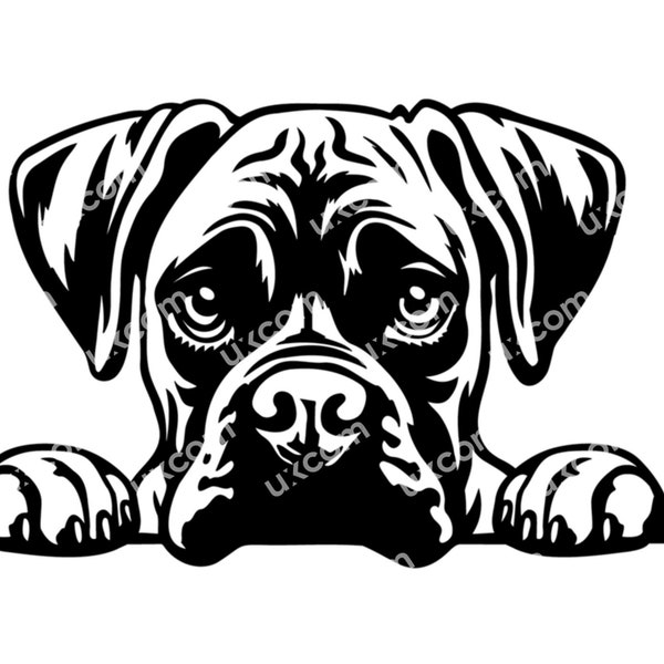 Boxer Peeking svg cute Boxer svg dog boxer Breed Commercial Canine boxer puppy peek CNC Svg Dxf Png EPS Clipart Vector Cricut Cut File vinyl