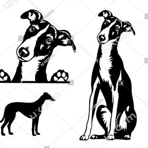 Greyhound svg set 3 greyhound peeking dog commercial bundle greyhound cut file SVG PNG EPS Dxf Ai Clipart Vector Cricut vinyle décalcomanies laser