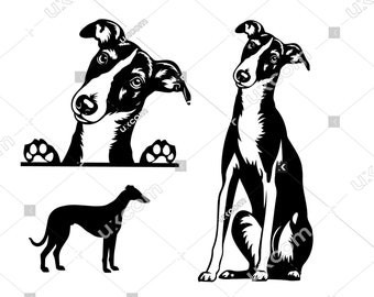 May include: Black and white silhouette illustrations of three dogs. One dog is peeking over a surface, another is sitting, and the third is standing.