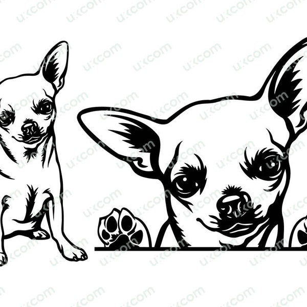 Chihuahua svg Peeking happy Chihuahua mom Chihuahua Commercial Breed vinyl decals sublimation PNG EPS Clipart Welcome Cricut Cut Cutting