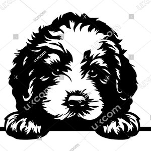 May include: Black and white silhouette of a dog peeking over a surface. The dog has fluffy fur and is looking directly at the viewer.
