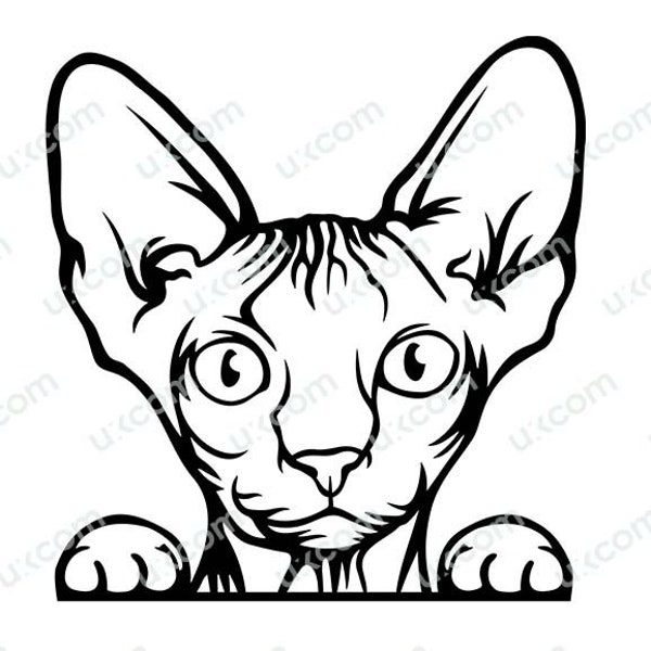 Sphynx cat svg Peeking paws Commercial Egyptian cute Puppy hairless Pet Breed Logo .SVG .PNG Clipart Vector Cricut Cut Cutting